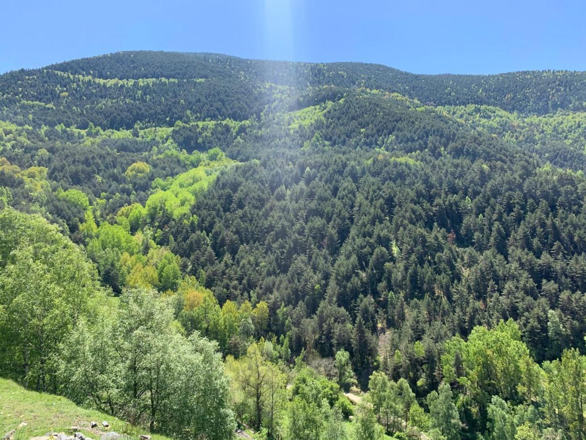 Siscaro - Peu Del Riu 310 - Vall D'incles - Soldeu Appartement